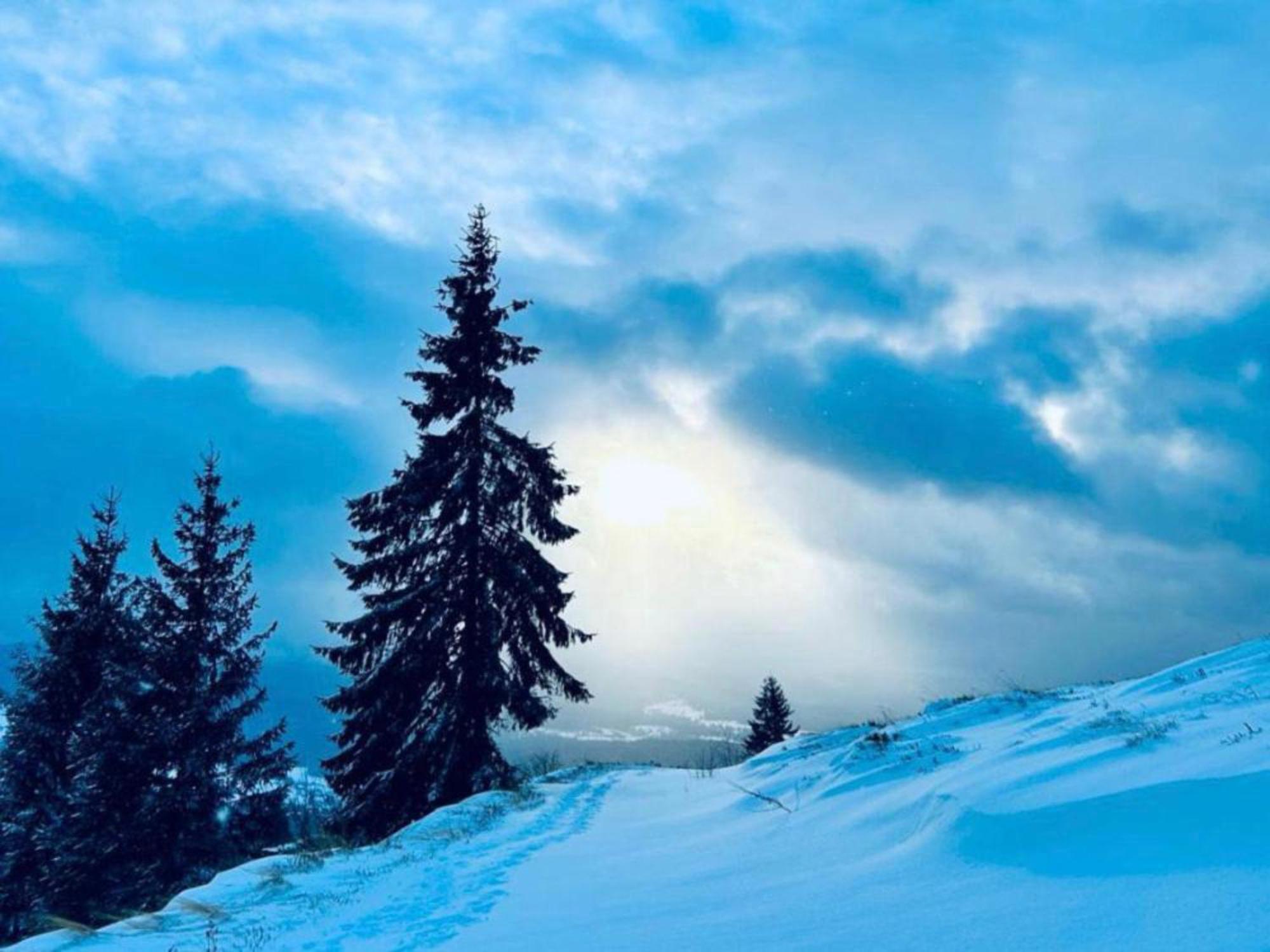 Tiarra Mountain Lodge Белиш Экстерьер фото